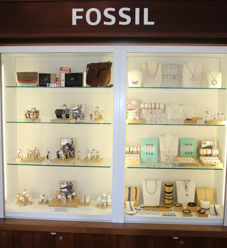 Fossil Vitrine