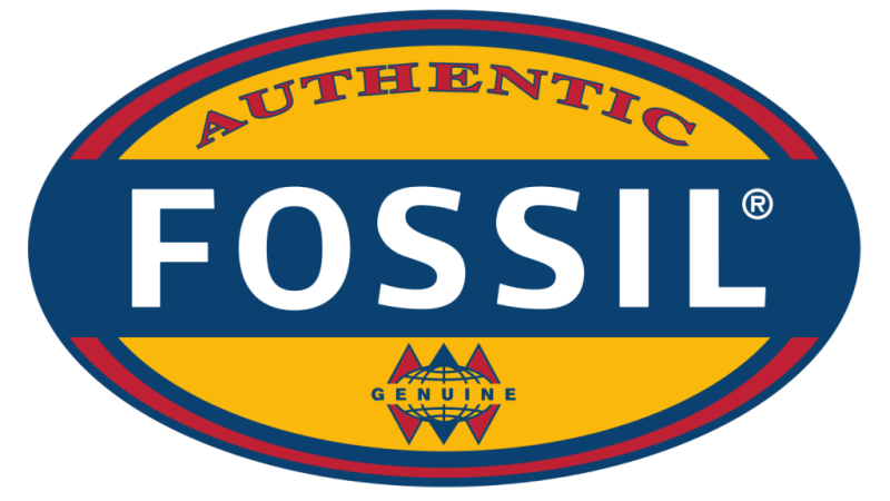 Fossil | horloges en sieraden - Oeding